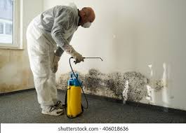 Best Asbestos and Lead Testing During Mold Inspection  in Coldstream, OH